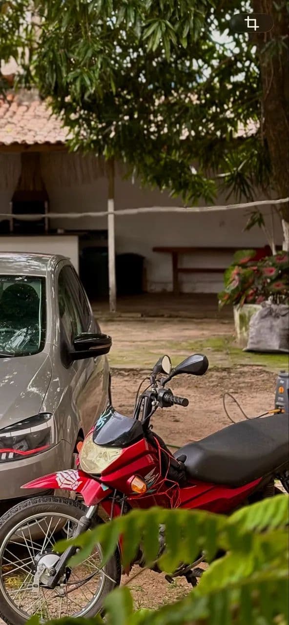 Vendo pop de leilão 