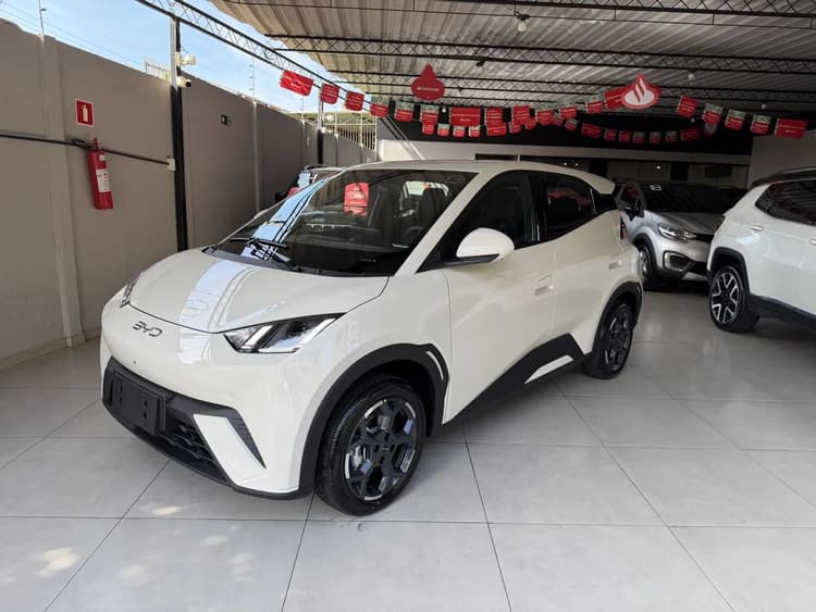 BYD Dolphin Mini (Elétrico) 2027