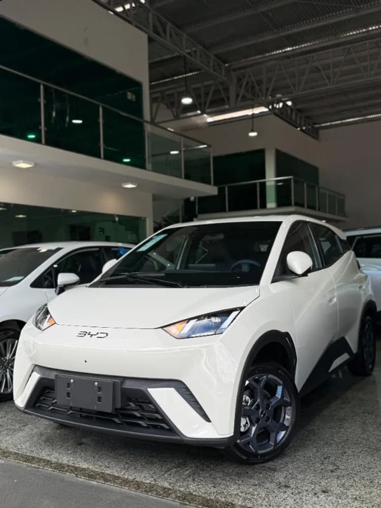 BYD Dolphin Mini (Elétrico) 2027
