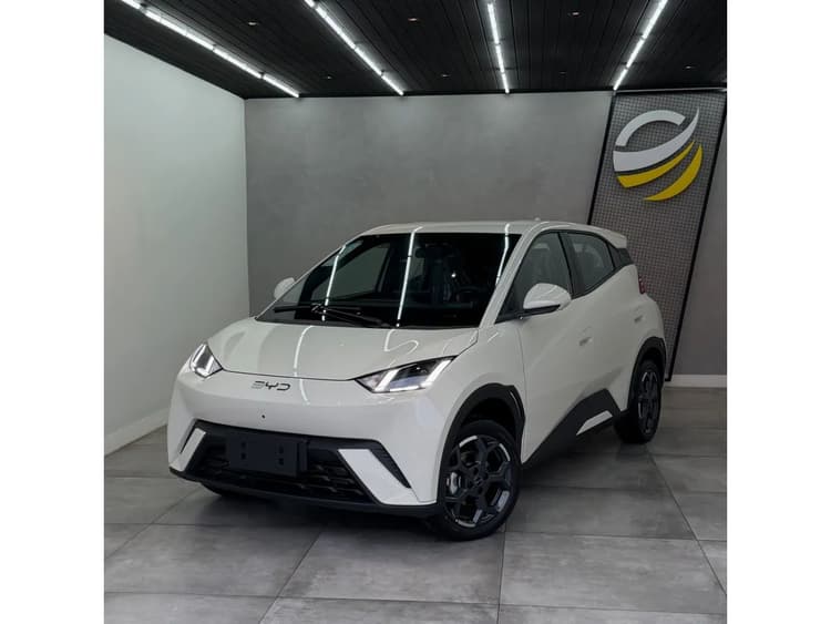 BYD Dolphin Mini (Elétrico) 2027