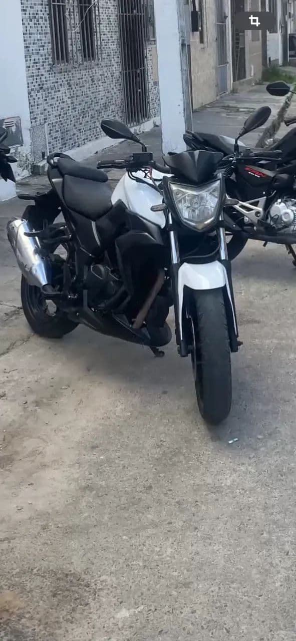 Next 250 