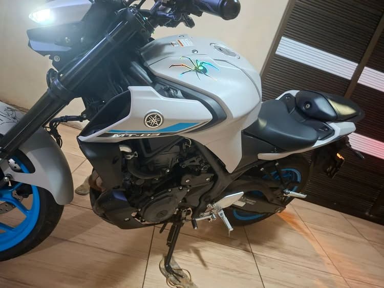 Mt03 