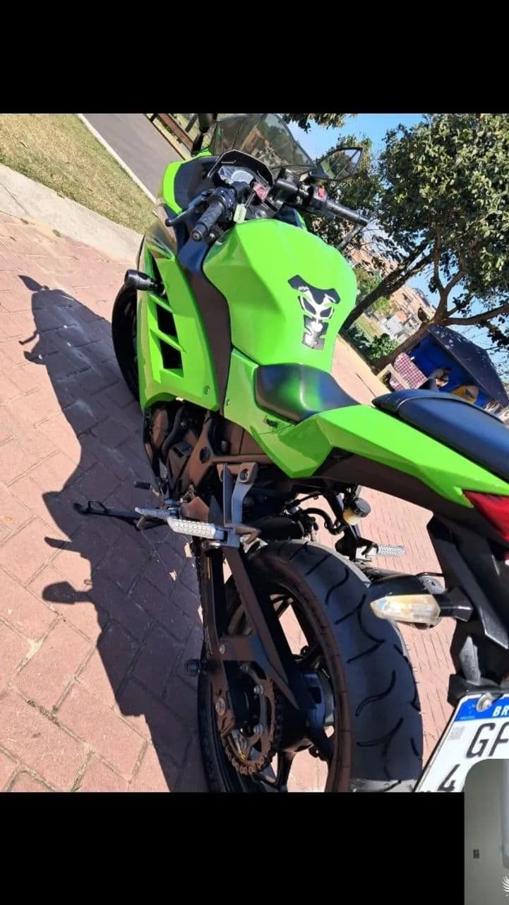 Ninja 300