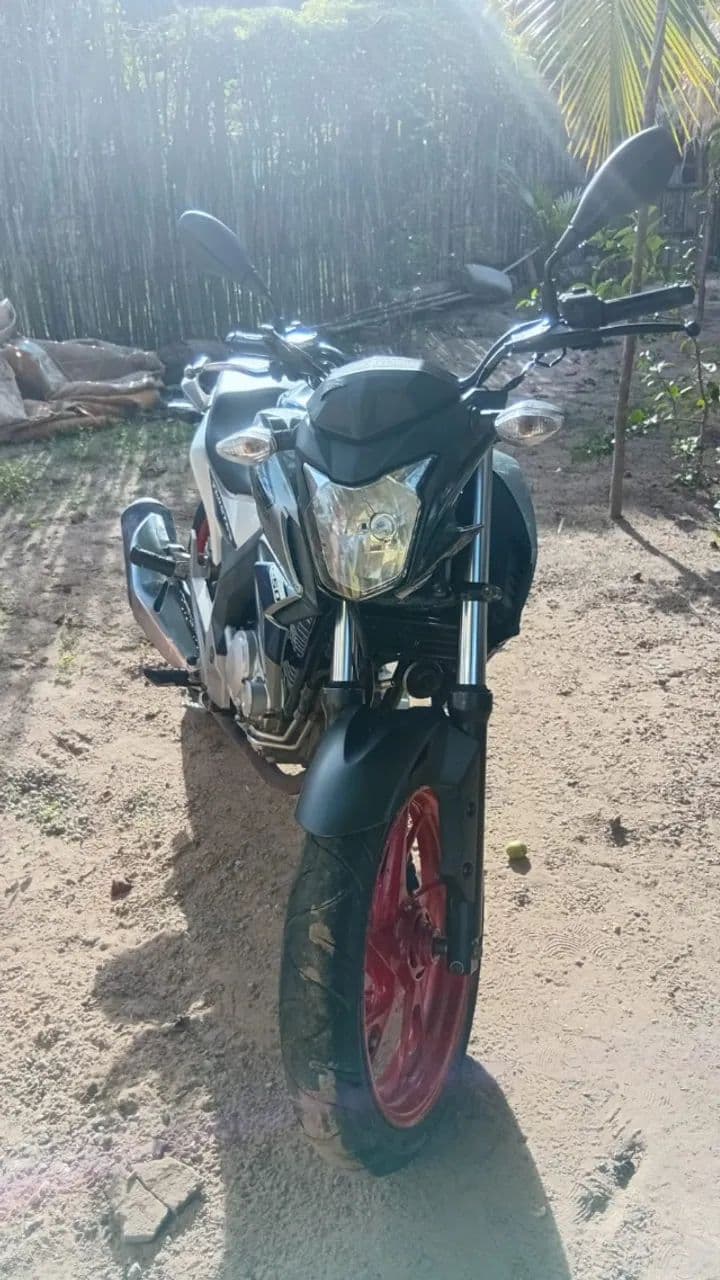 CB TWISTER 250 