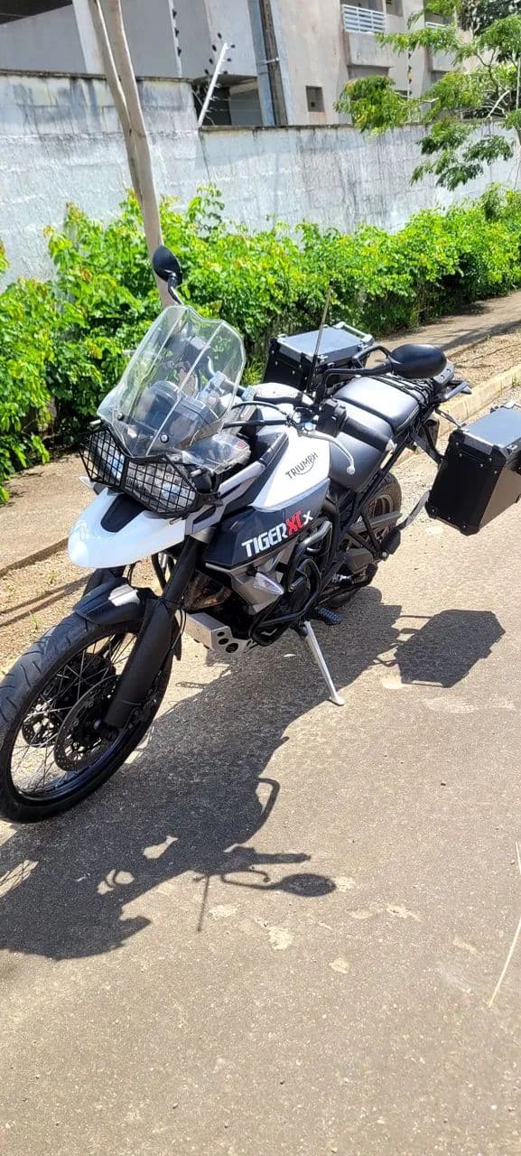 Tiger 800 xcx 2018