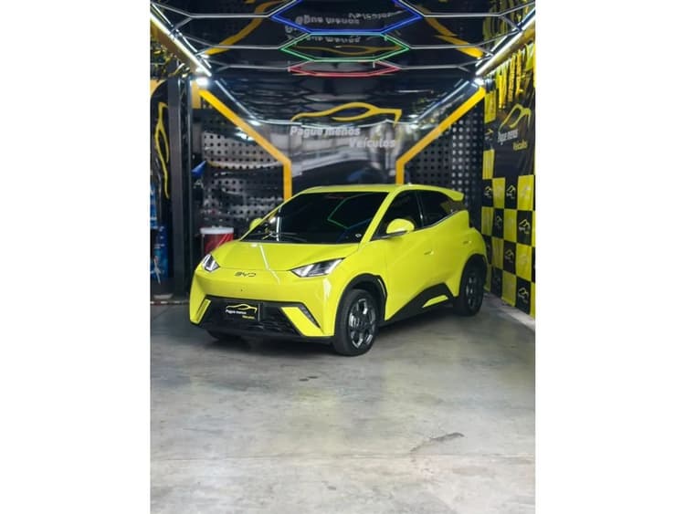 BYD Dolphin Mini (Elétrico) 2026