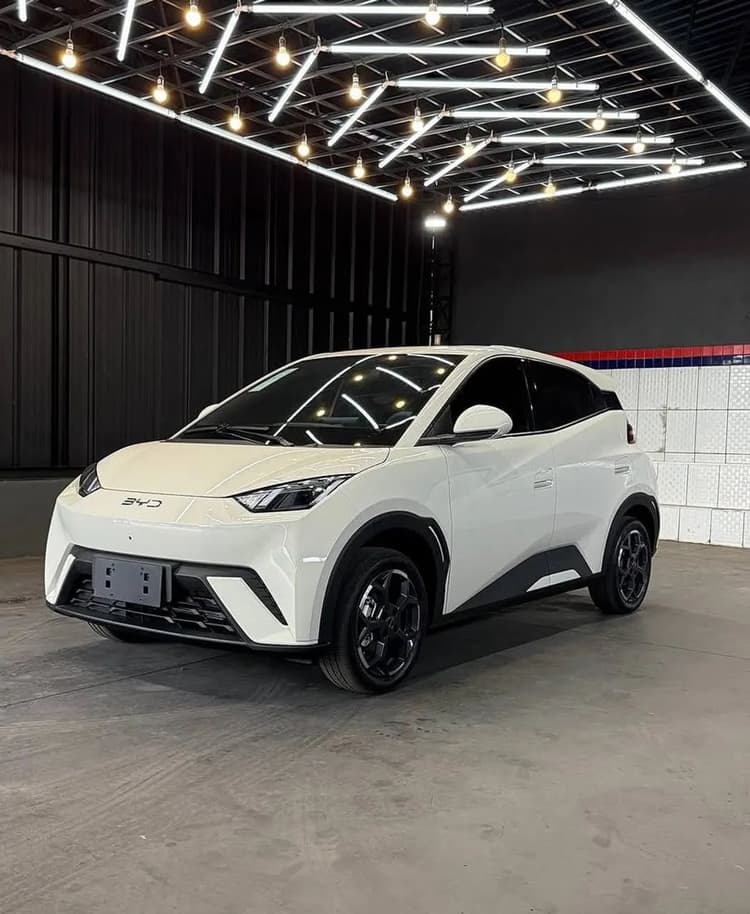 BYD Dolphin Mini (Elétrico) 2026