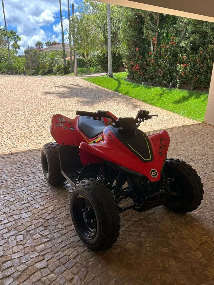 CFMOTO CForce 110 