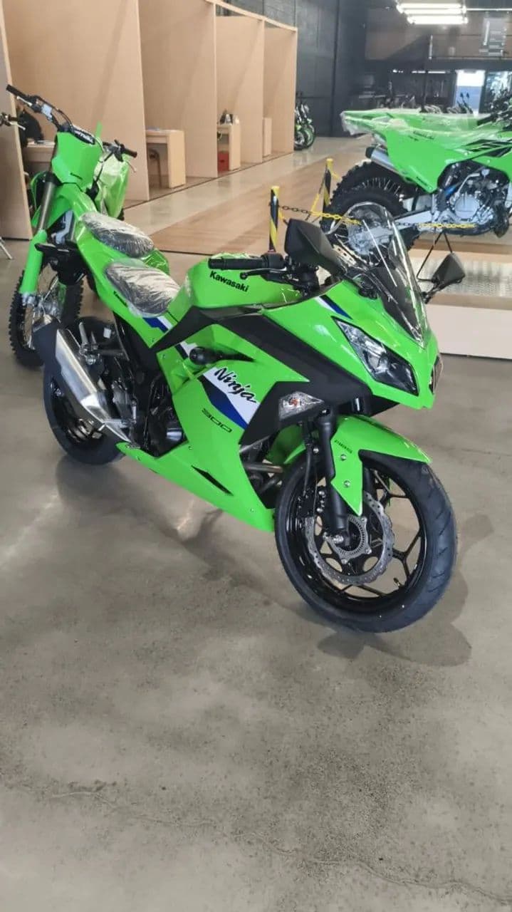 Ninja 300