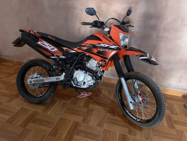 Vendo lander 2016
