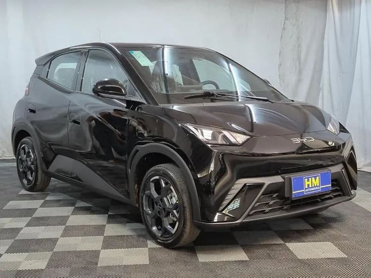 BYD Dolphin Mini (Elétrico) 2027