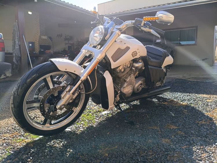 Harley v rod muscle 