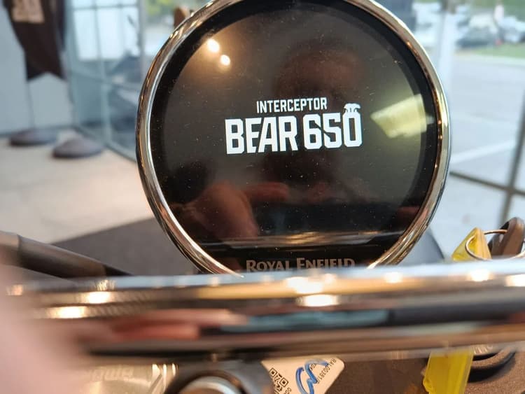 Bear 650cc Marcio Carioca (21)980000807