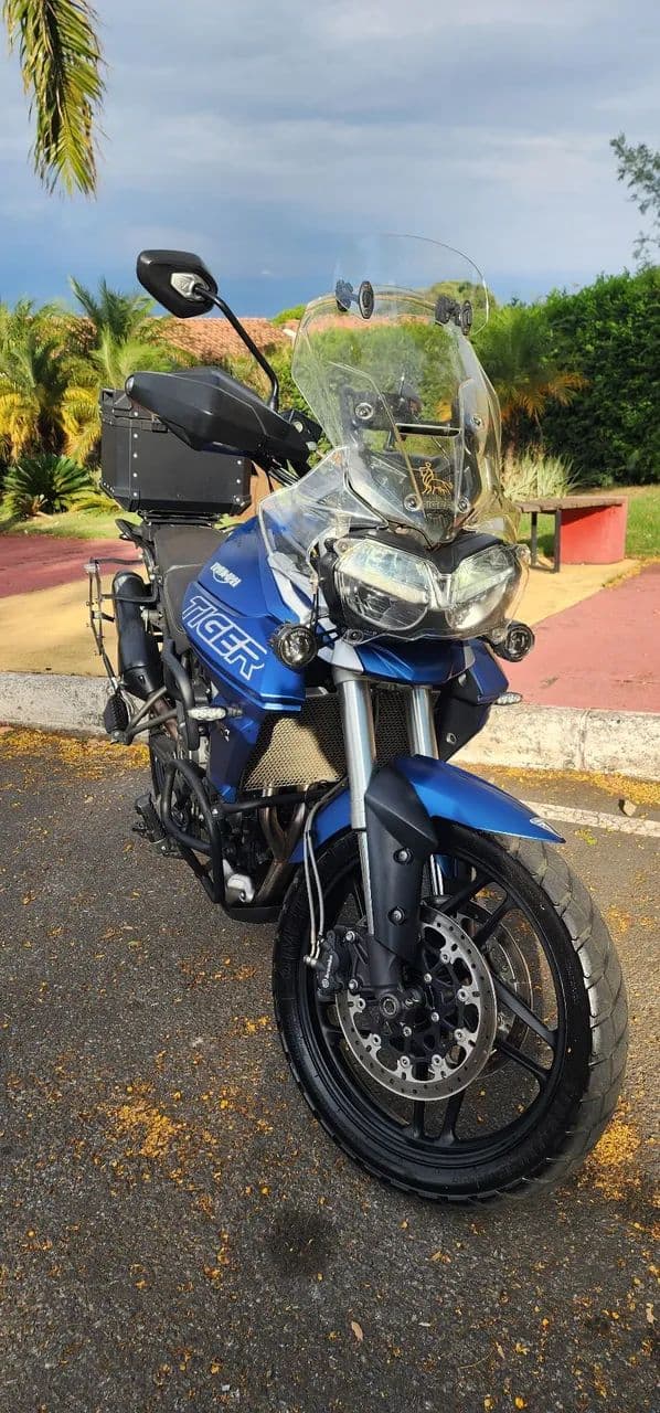 Tiger 800 XRT 2019