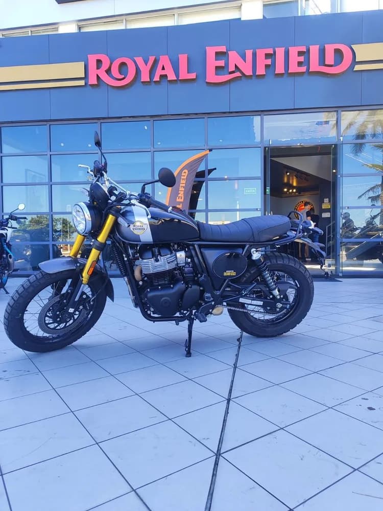 BEAR 650cc/ DAIANA 