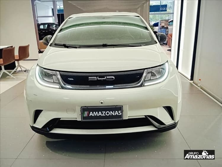 BYD Dolphin EV (Elétrico) 2024