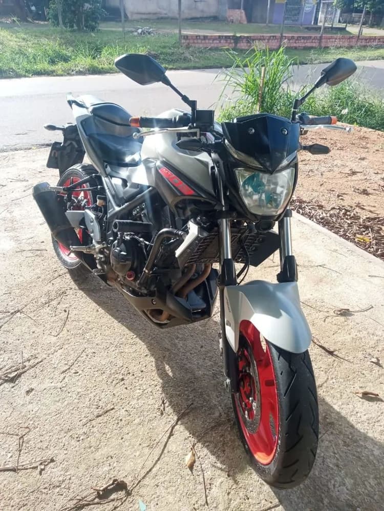Mt03 