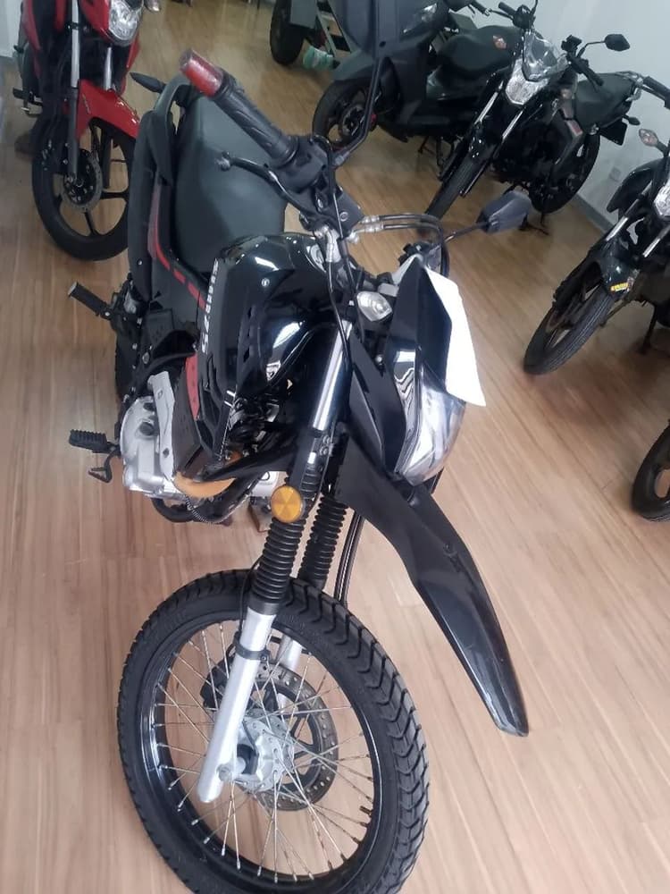 Shin Shi 175 cc 