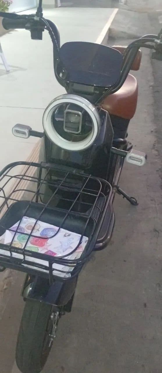 Moto elétrica Panda wd2