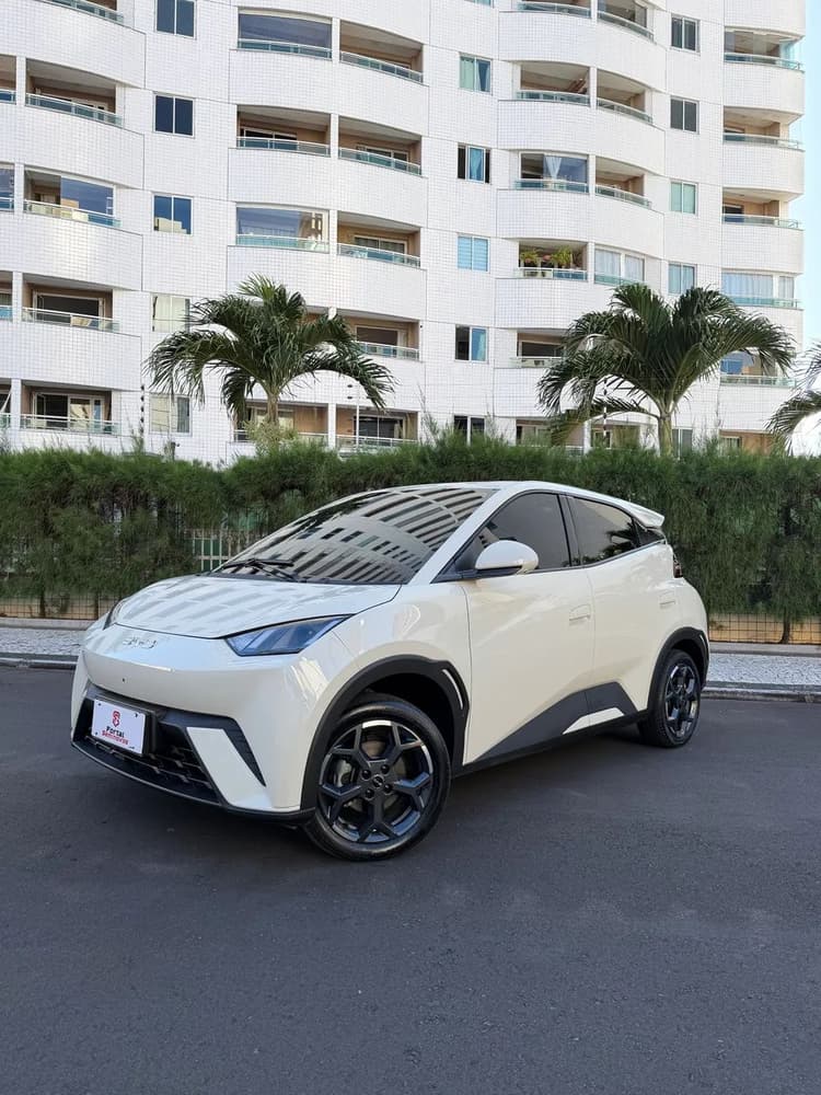 BYD Dolphin Mini (Elétrico) 2027