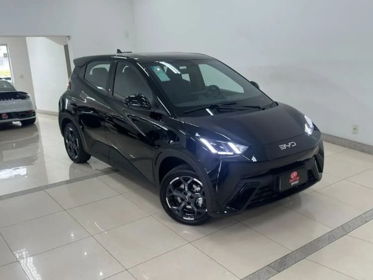 BYD Dolphin Mini (Elétrico) 2027