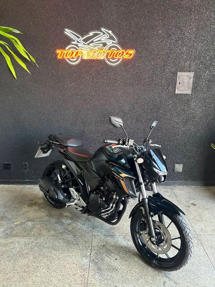 FZ 25 