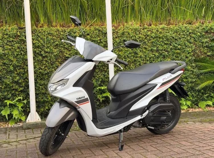 YAMAHA FLUO 125 ABS | 2024