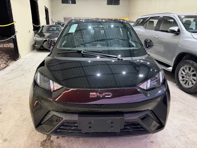 BYD Dolphin Mini GL 2027