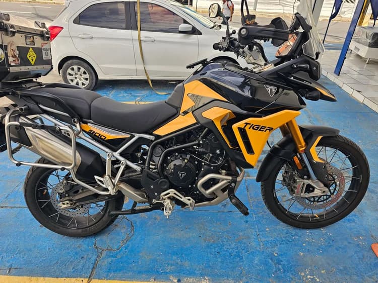 Tiger 900 Rally Pro