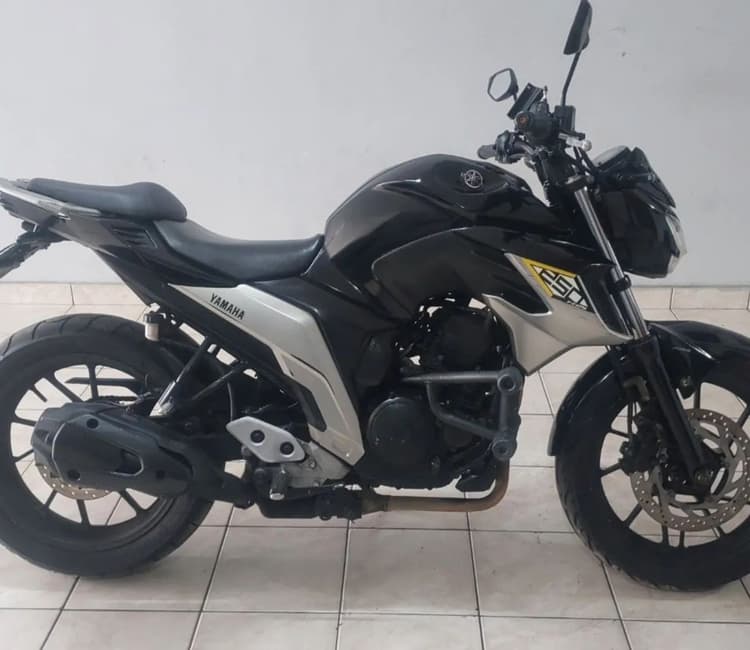 Faser 250