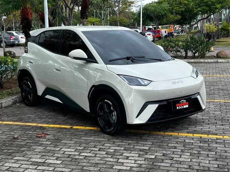 BYD Dolphin EV (Elétrico) 2024