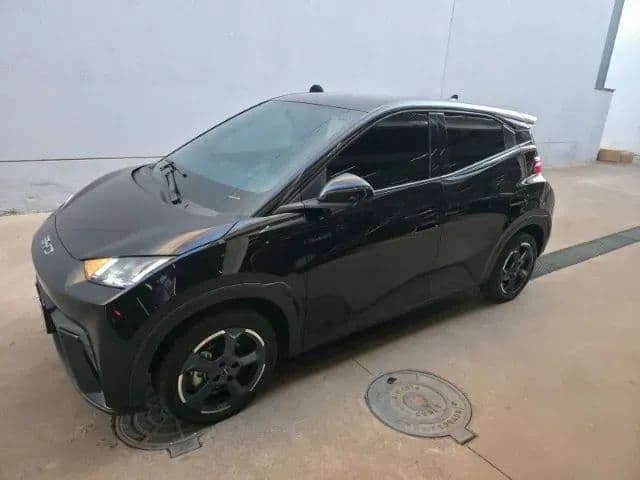 BYD Dolphin Mini (Elétrico) 2025