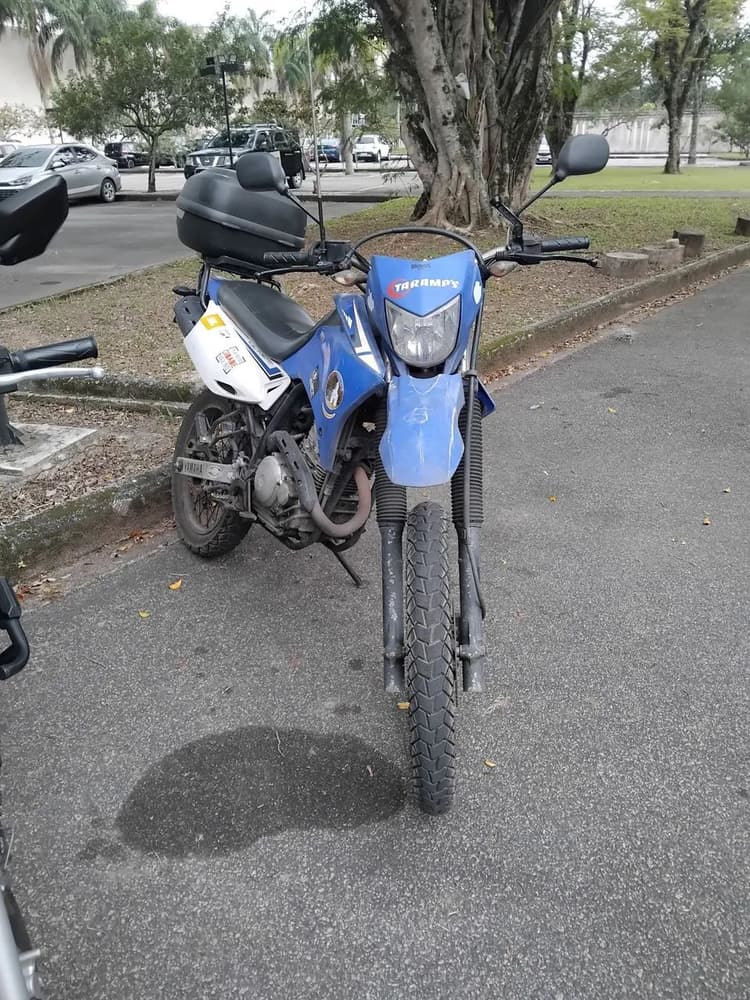 Yamaha 250 