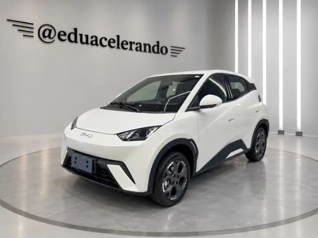 BYD Dolphin Mini (Elétrico) 2027