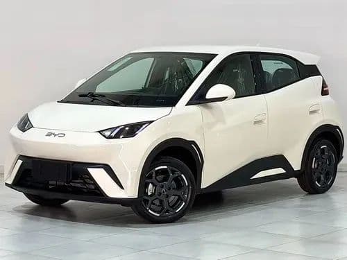 BYD Dolphin Mini (Elétrico) 2027