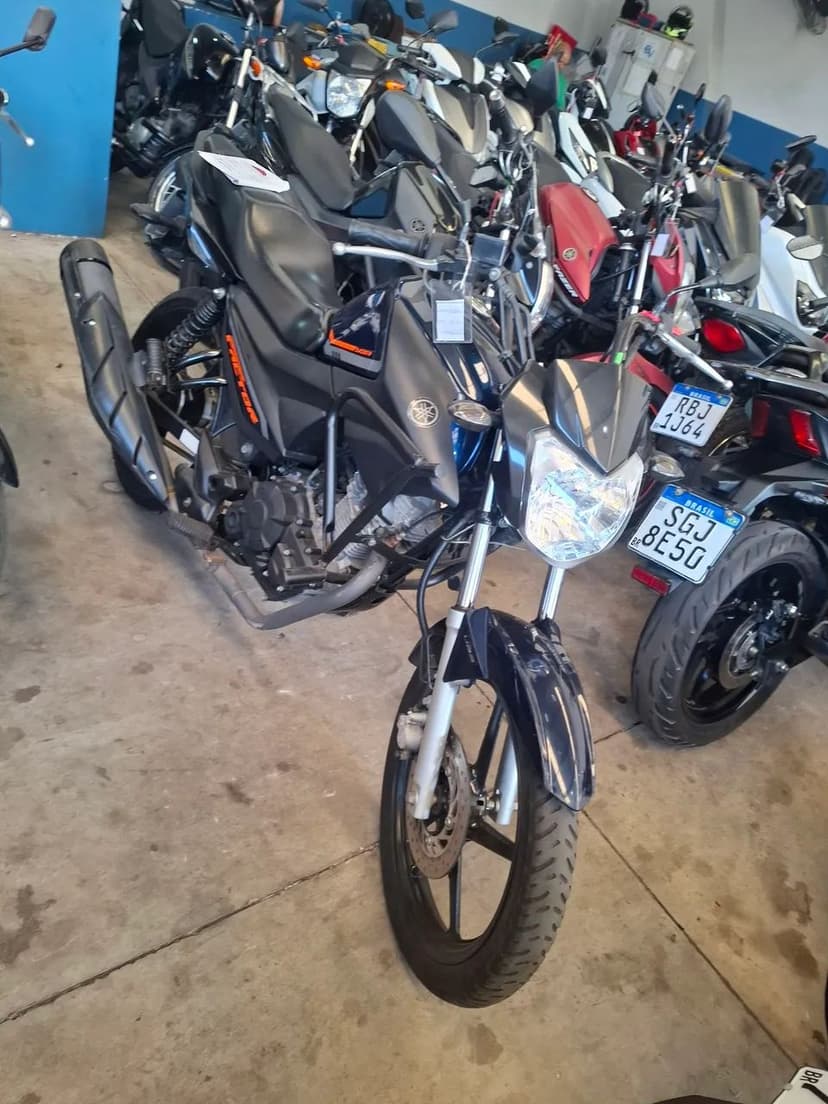 Yamaha Factor 2024