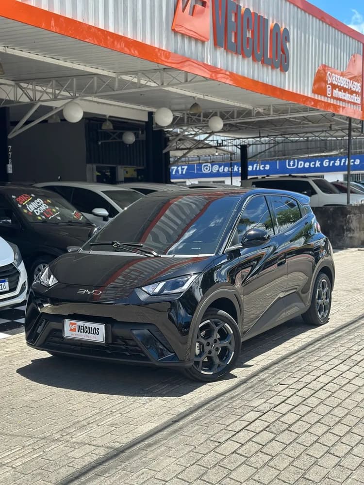 BYD Dolphin Mini (Elétrico) 2027