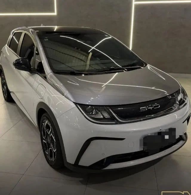 BYD Dolphin Plus (Elétrico) 2024
