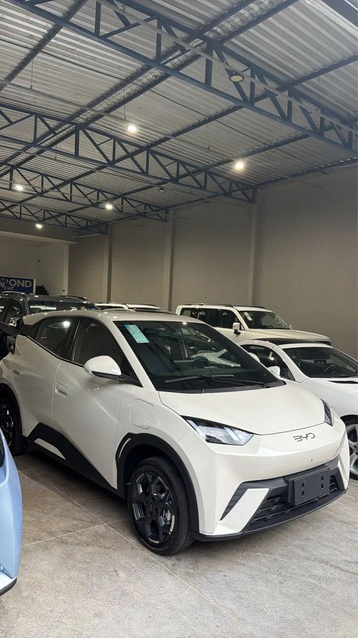 BYD Dolphin Mini (Elétrico) 2027