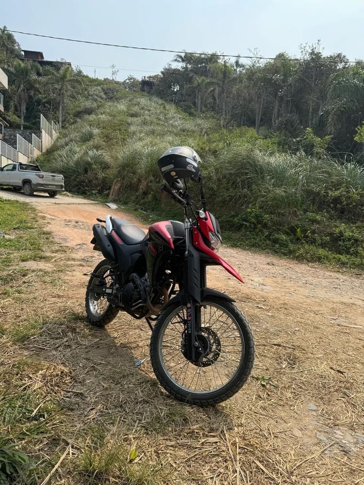 Vendo lander 