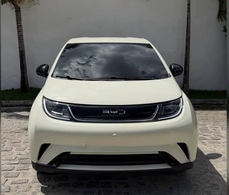 BYD Dolphin Mini GL 2025