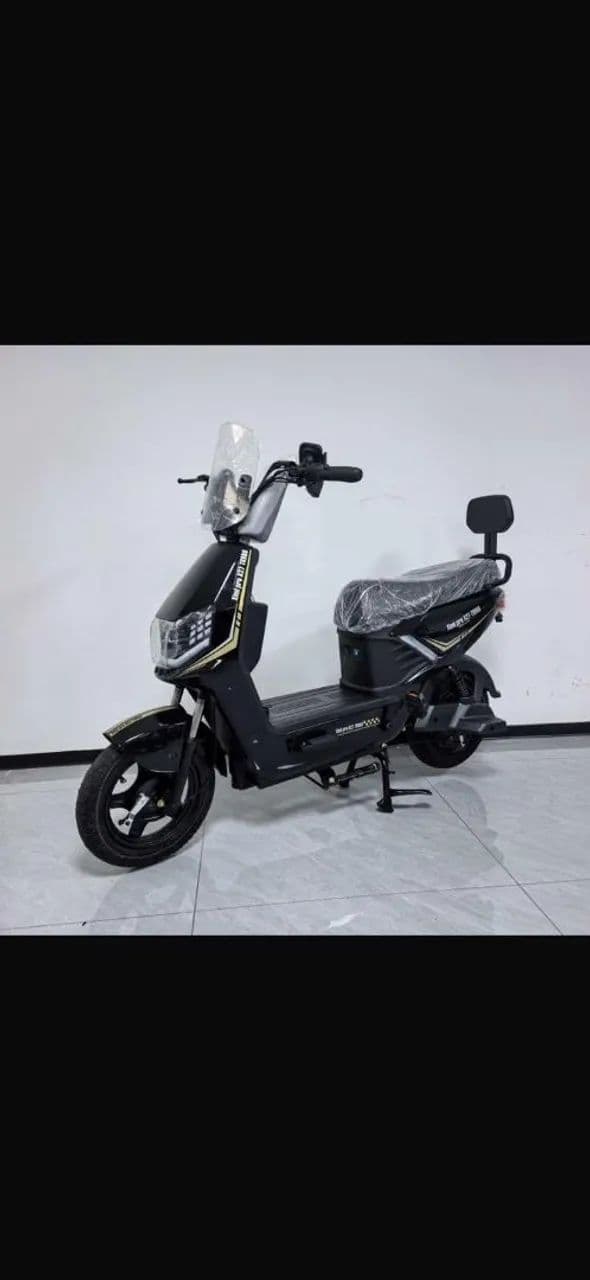 MOTO ELETRICA 