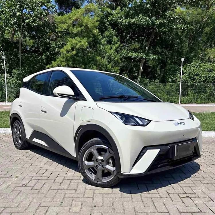 BYD Dolphin Mini (Elétrico) 2025